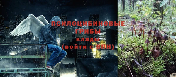 a pvp Армянск